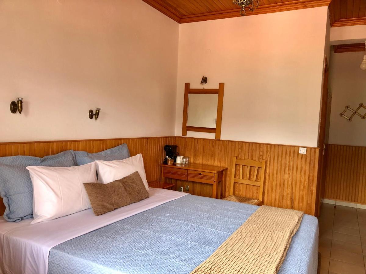 Apostolos Hotel Metsovo Exterior foto