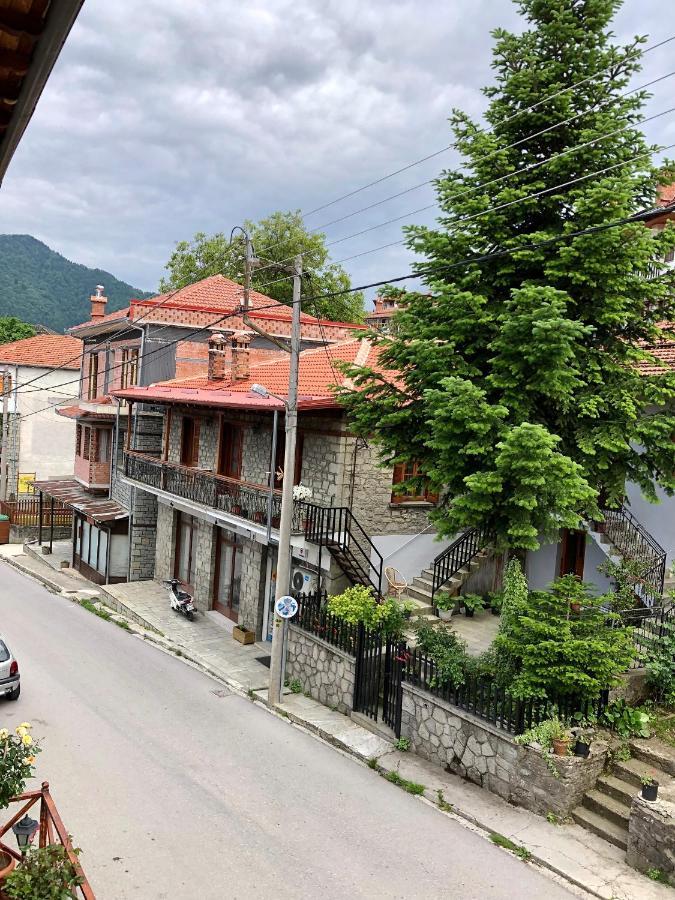 Apostolos Hotel Metsovo Exterior foto